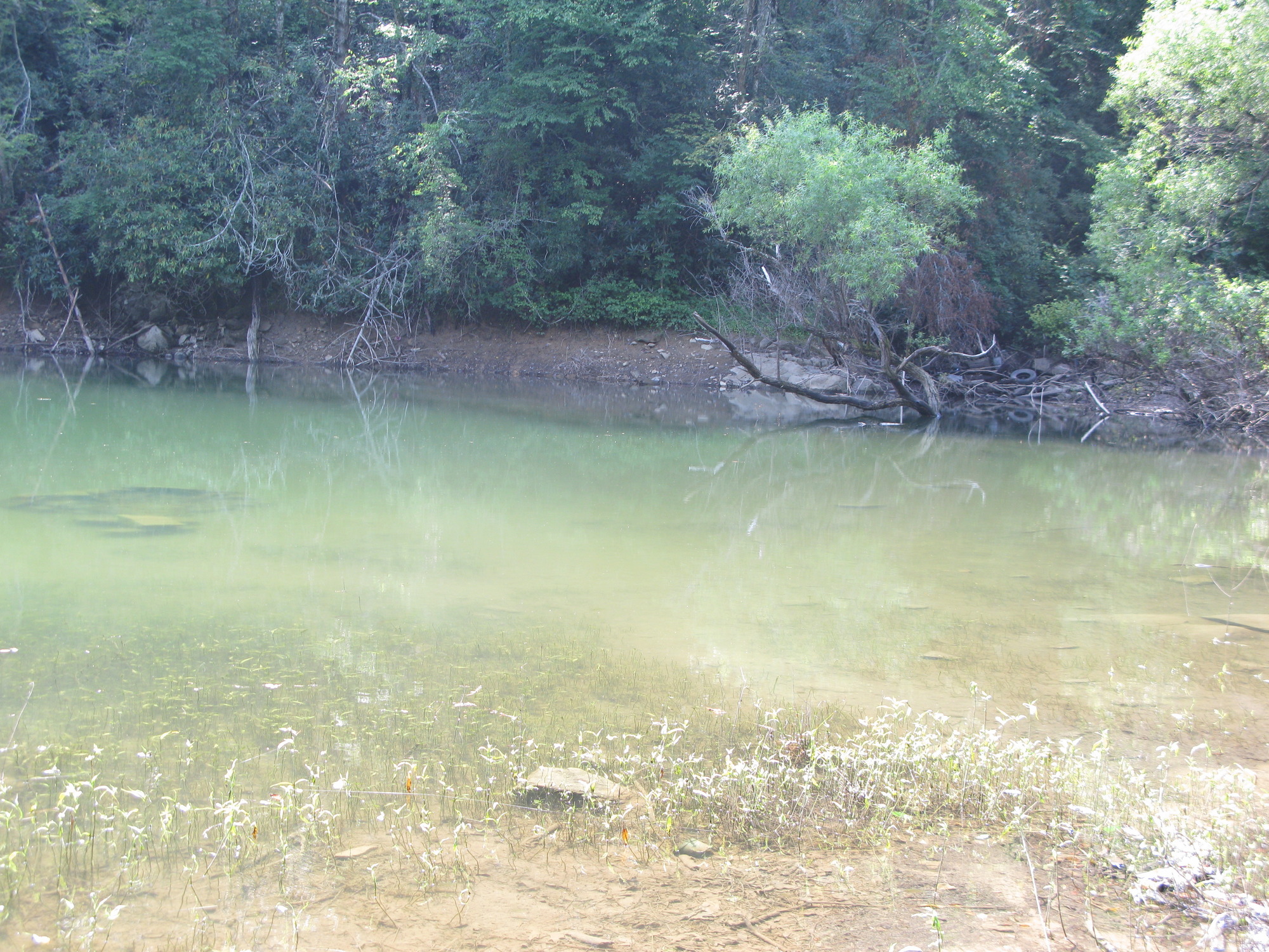 GRSM Accuracy Assessment. Plot Code: GRSM_AA_0179_5