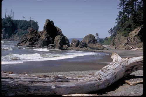Views of Olympic National Park, Washington
