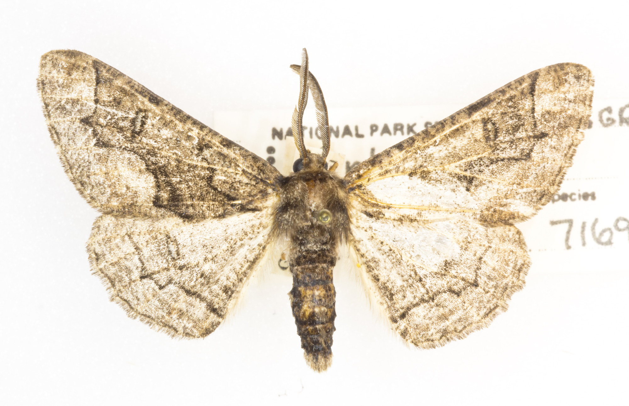 Grand Canyon Museum Collection
Address: 2 Albright Ave, Grand Canyon Village, AZ 86023
Phone: (928) 638-7769
https://www.nps.gov/common/utilities/sendmail/sendemail.cfm?o=6CB7F89AA2FEBAAF91AE1E90DA18A7A1439E528653B8AC914F0CE08011C0&r=/grca/learn/historyculture/muscol.htm