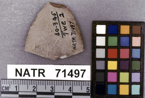 NATR   71497 -- Untyped projectile point