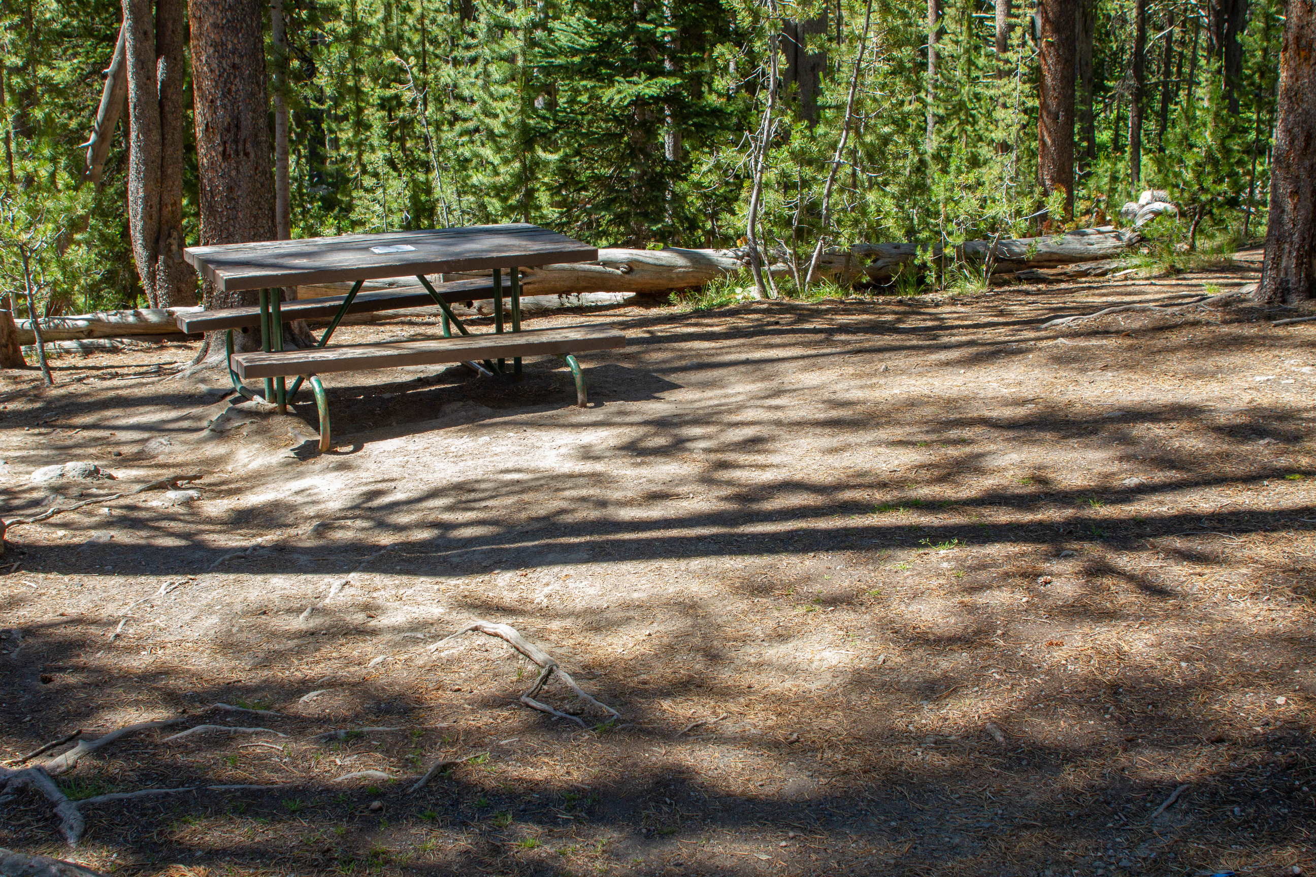 An unoccupied table with pine trees in background