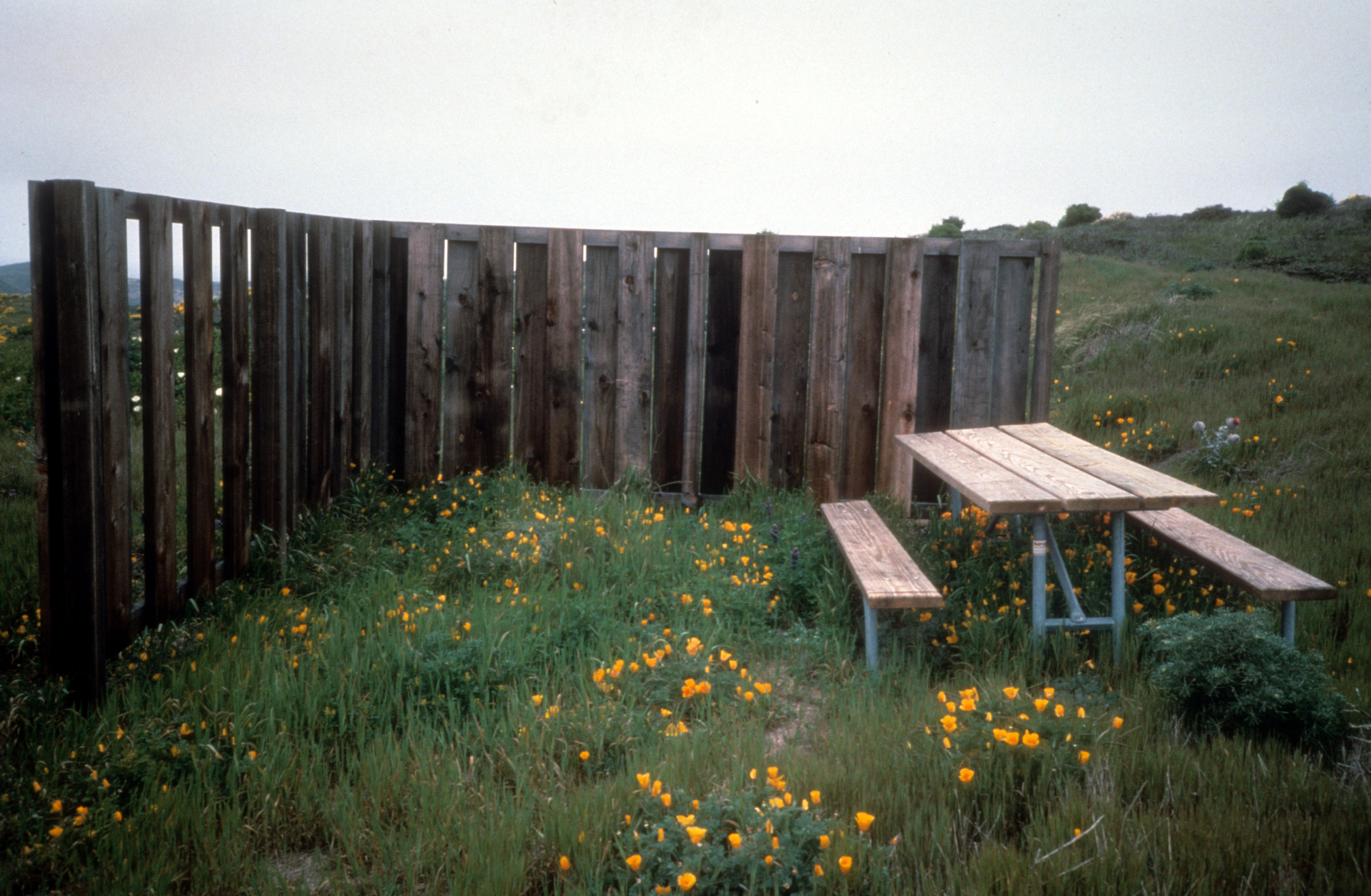 San Miguel Island Campsite
