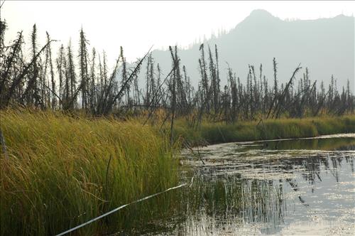 1 Water Quality Testing in Yukon-Charley Rivers National Preserve, August 2005