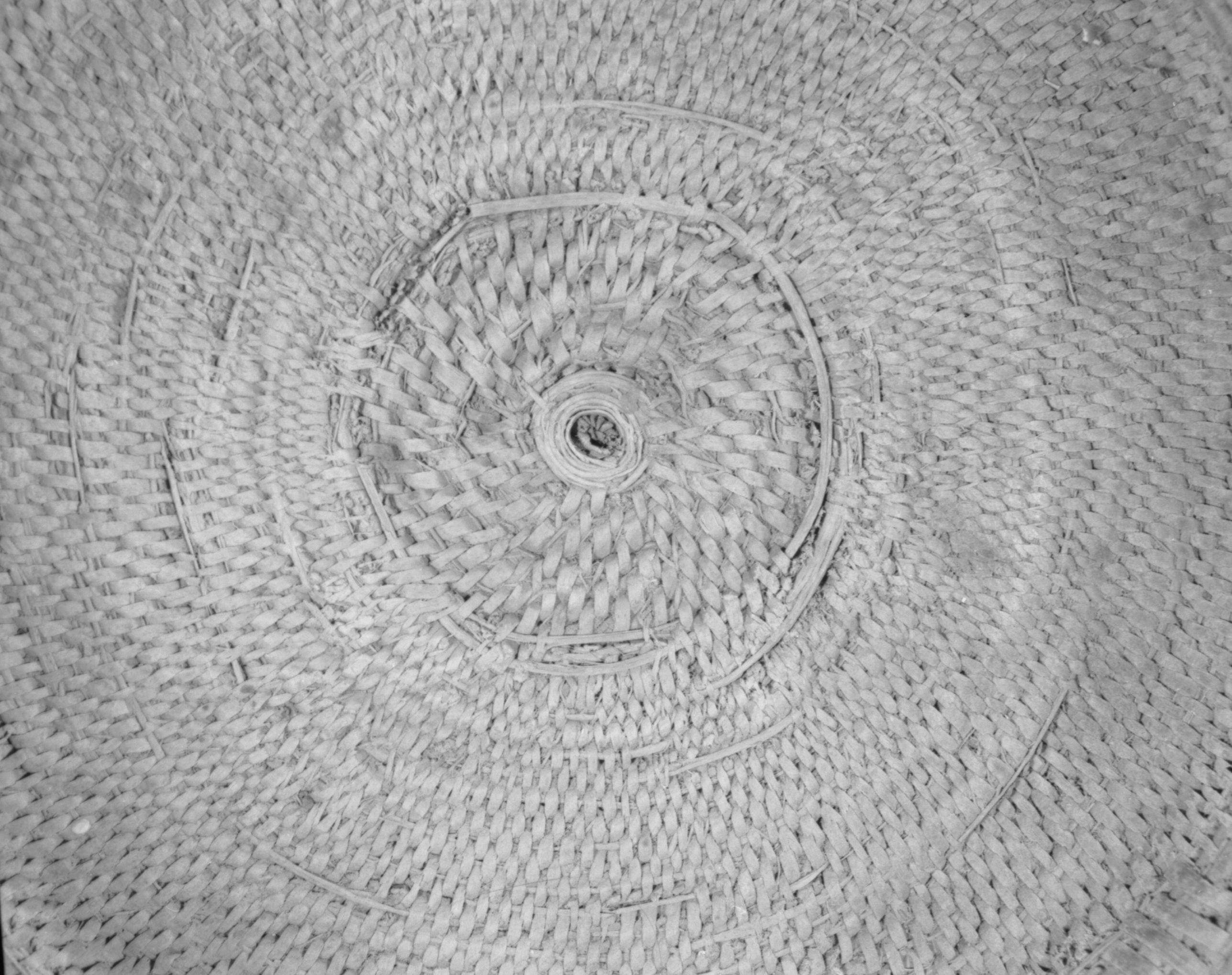 Private Collection. Object: Miwok basket. Dimensions: 18 x 10". Materials: Redbud and split willow shoots in original basket. Repairs in split maple shoots. Technology: Original basket is single rod, interlocking stitch, leftward coil direction. Repair begun on base of old basket and worked toward center until center 3 1/4", when clockspring start was stitched in to fill remainder two rows of coiling with two sewing strands at the same time, one redbud & one willow, near upper edge of original basket. Collection History: Collected by owner's mother. Murphys 1915. Photographed by Michael Dixon. Catalogued by Craig Bates and Barbara Beroza. Yosemite Collections, National Park Service.