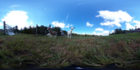 Spherical image of goats in a pasture