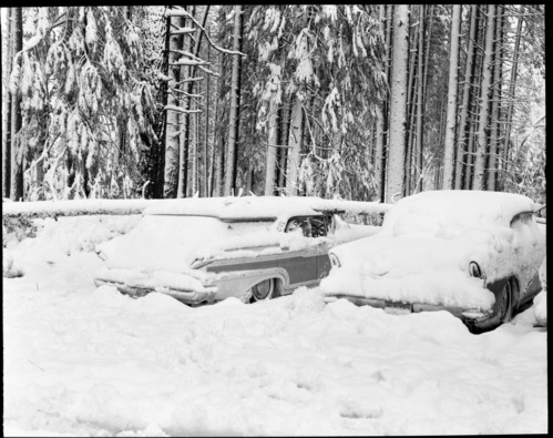 Snow scene - Yosemite Valley.