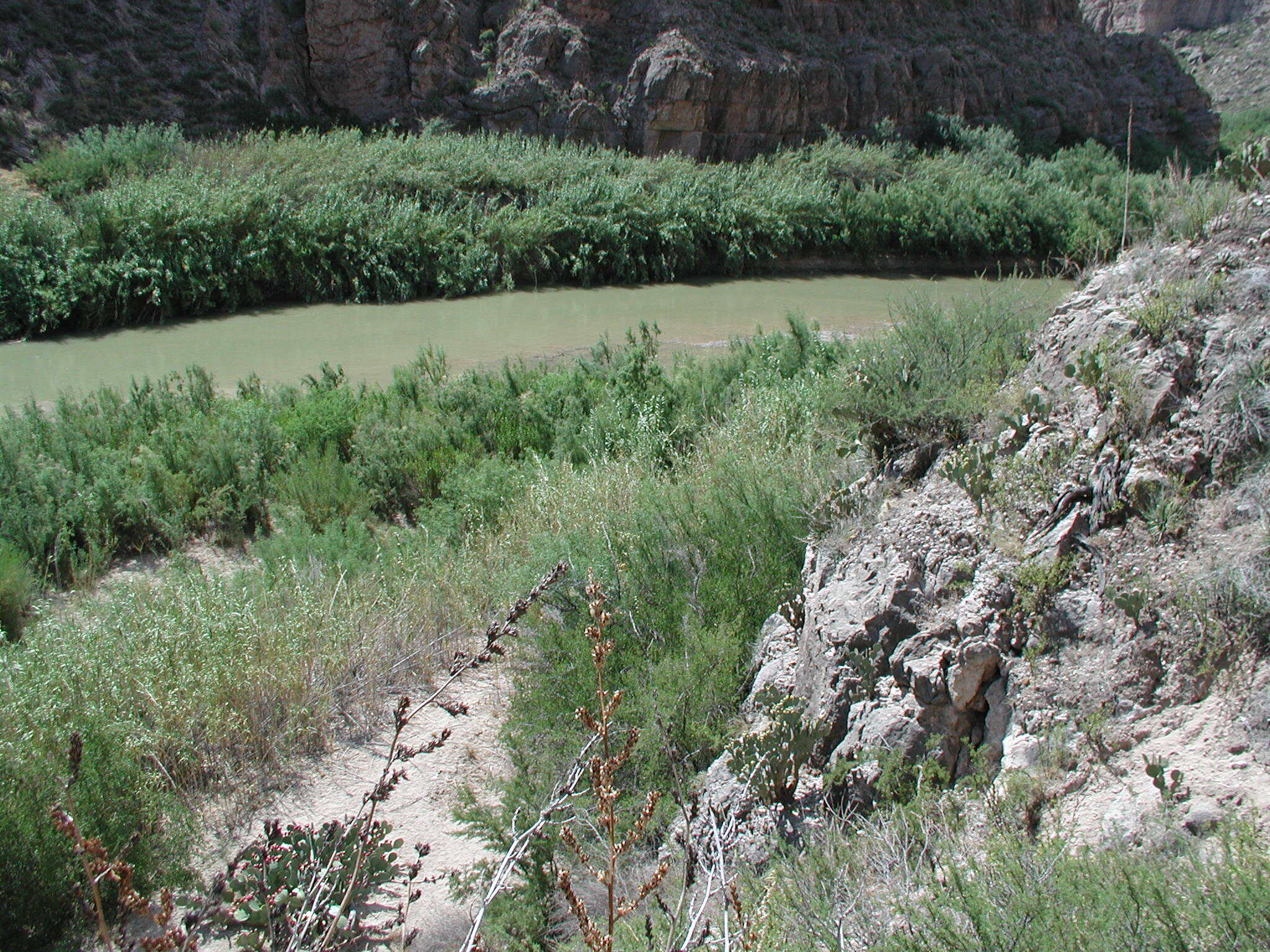Photo of the Rio Grande