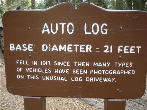 Giant Forest--Unpaved Trails--waysides--Sequoia and Kings Canyon National Park--12/2009