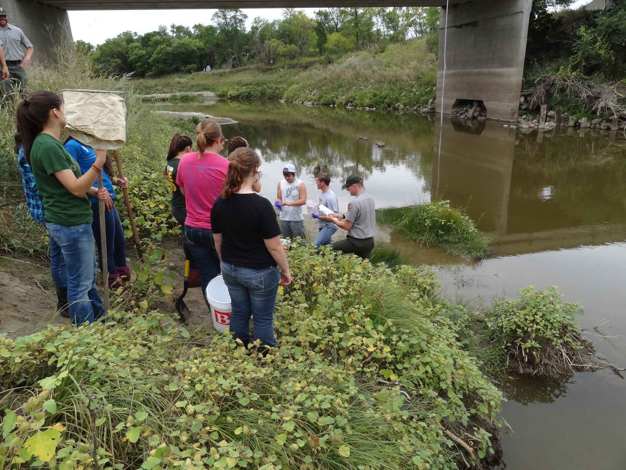 Volunteers hold nets standing on the side of the river. Bridge in background.