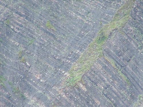 17 Yukon-Charley Rivers National Preserve Peregrine Falcon Survey July 2006