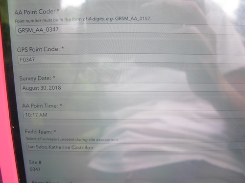 GRSM Accuracy Assessment. Plot Code: GRSM_AA_0347_1