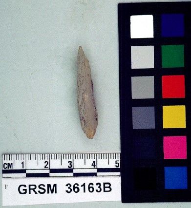 GRSM   36163 -- Point, Projectile