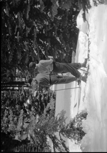 Skiers in the woods. Mrs. Don Tresidder and Mr. Oehlmann. Badger Pass.