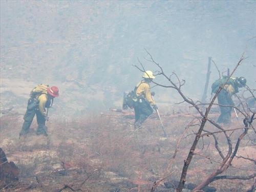 Fire fighters working on fire lines during the Long Mesa Fire, Mesa Verde National Park, July-August 2002