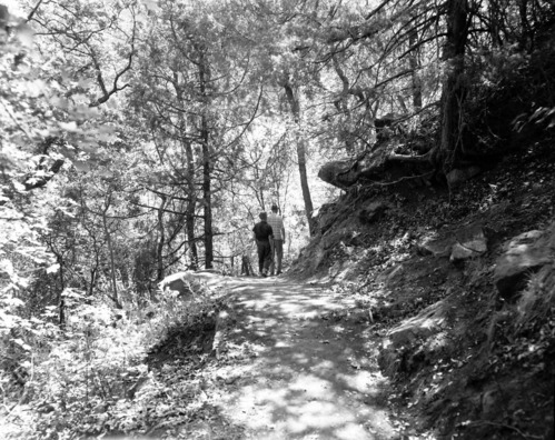 Visitor use in nature study - walking along trail.