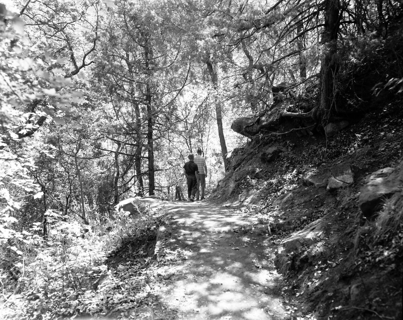 Visitor use in nature study - walking along trail.