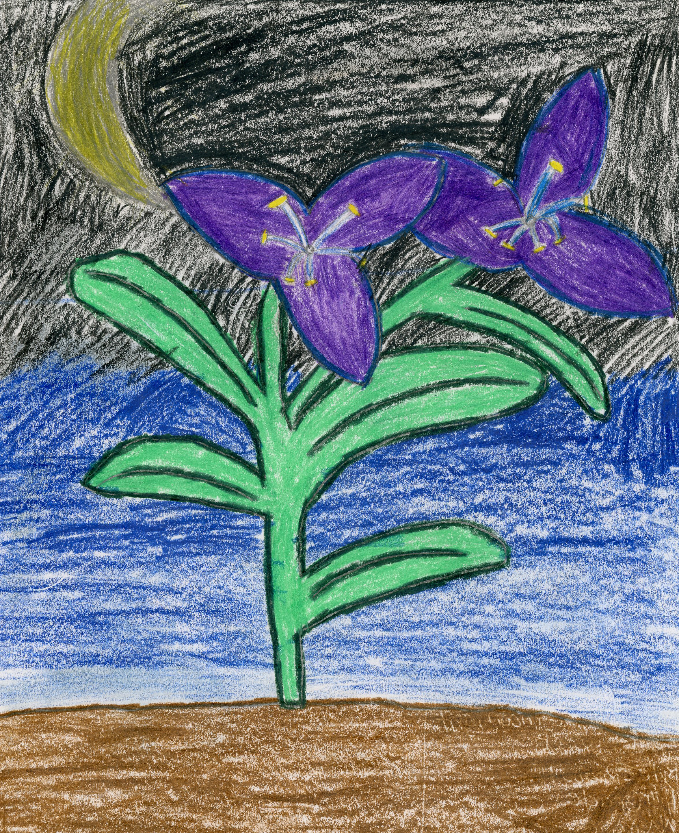 drawing of purple three petaled flower