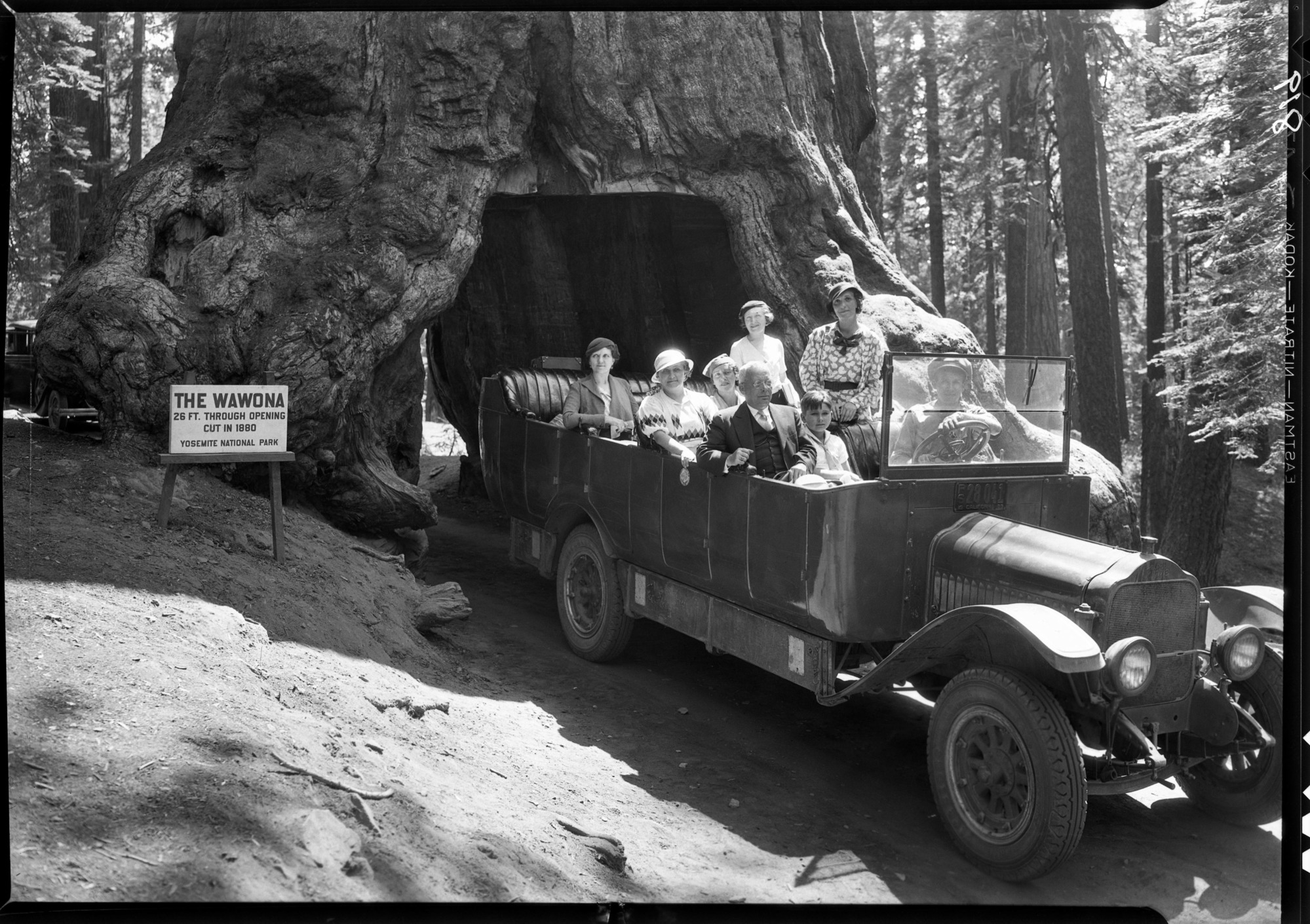 Possibly part of the Governors' party (?) Bruce - photographer at the Wawona Tree. "A YP&Co negative showing notables" (?)