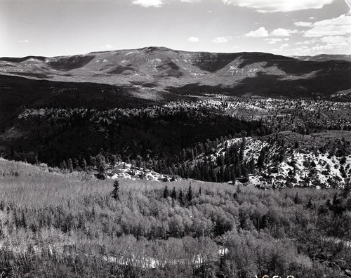 Looking east from Lava Point, sections 30 and 31, T 39S, R 10 W, head of Kolob Canyon, for boundary change.