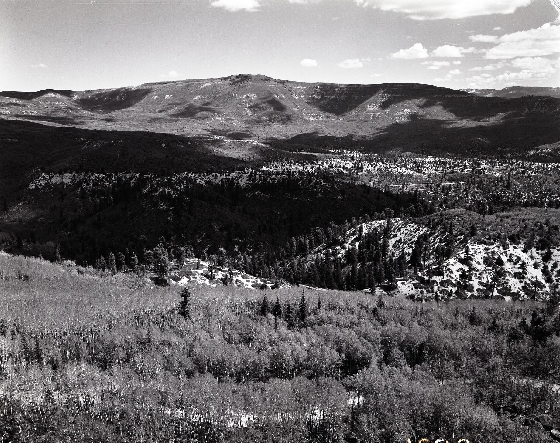 Looking east from Lava Point, sections 30 and 31, T 39S, R 10 W, head of Kolob Canyon, for boundary change.