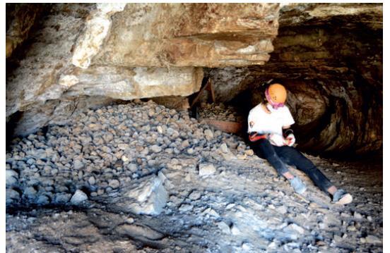 Photograph of dozens of softball-sized boluses of 20,000-year-old giant ground sloth dung in a cave in Grand Canyon National Park. 