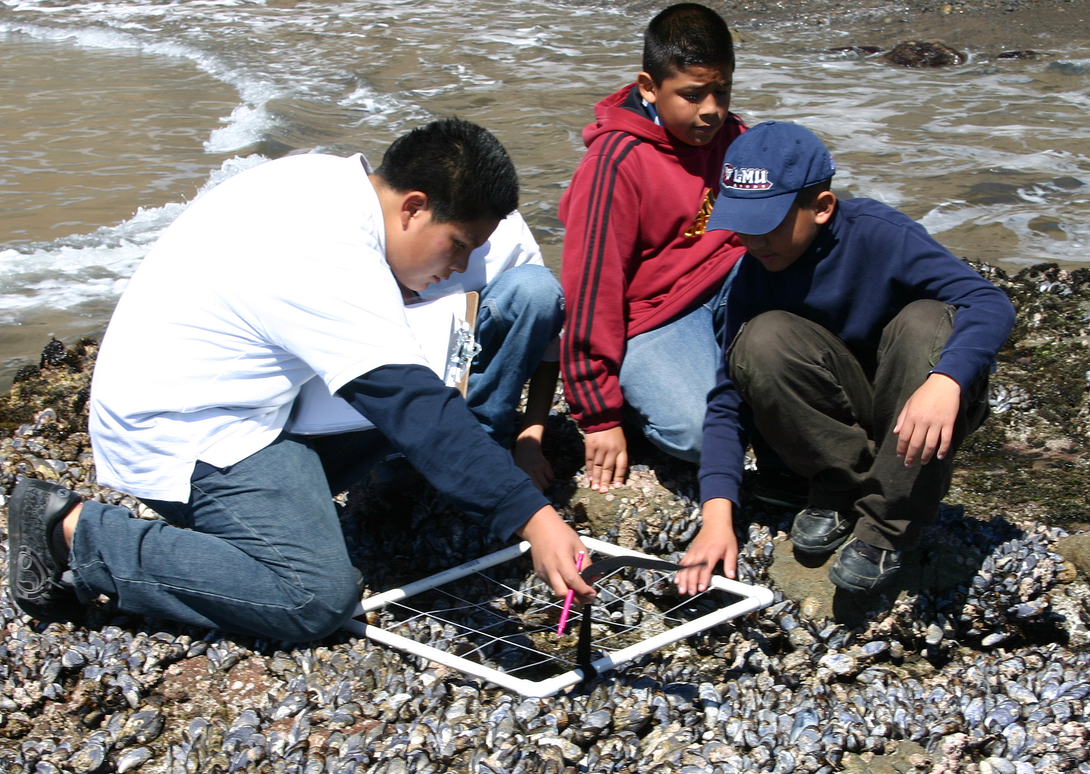 Students at Anacapa Tidepools