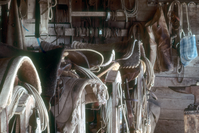 Tack and Saddles