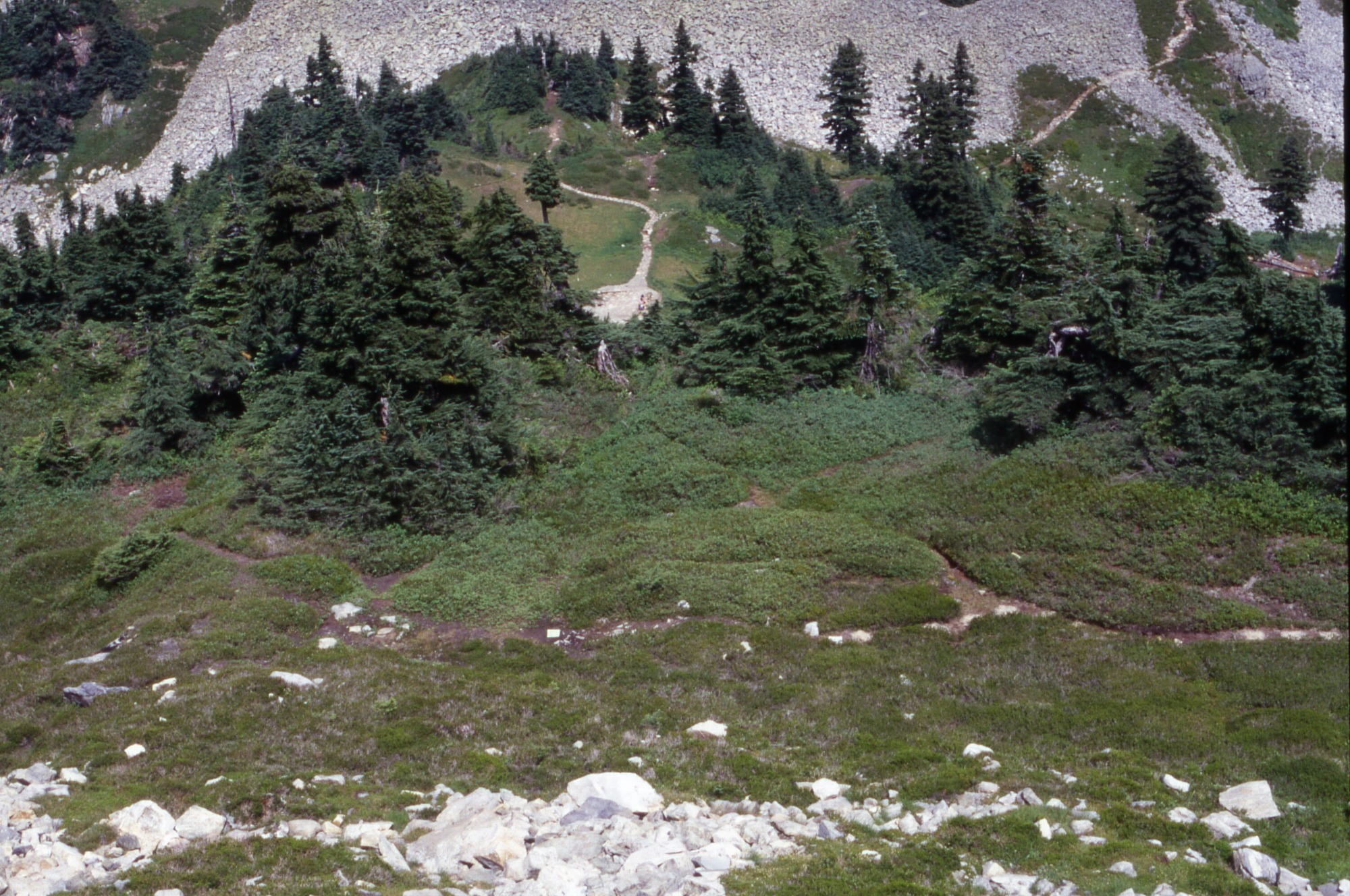 A view down a hill with rocks in the foreground, beyond which is a clearing of intersecting social trails. In the middle of the picture is a forested area. In the distance is a rocky basin and another clearing with a trail.
