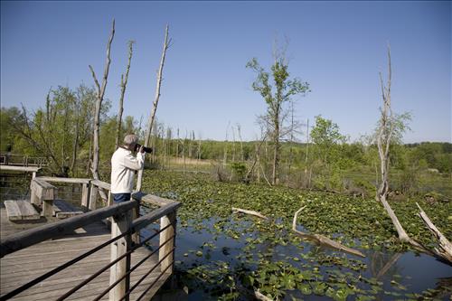 Nature Photographers
