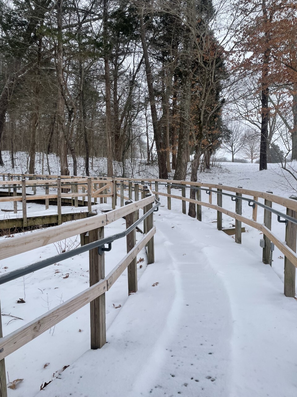 wooden boardwalk covered in snow