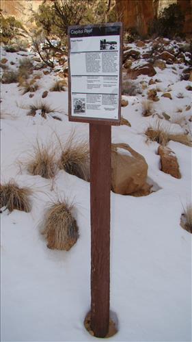 Captiol Reef National Park Wayside Exhibit Inventory January 2009 Group 4