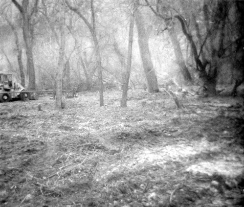 Trees and branches being cleared during the cleaning and setting up of the lodge spray field.