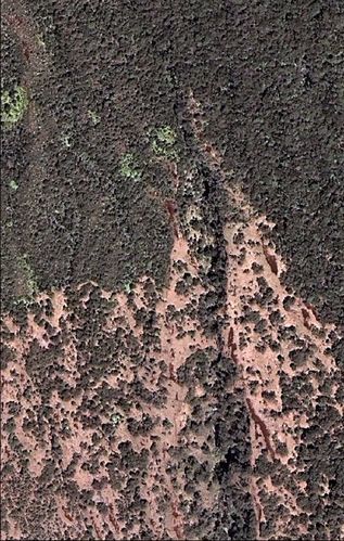 Supporting Images for PMIS#16750 - Mitigate feral animal ingress to protect recovering Haleakala Rainforest