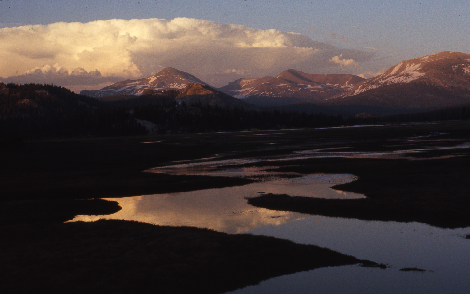 Tuolumne Meadows from Pothole Dome