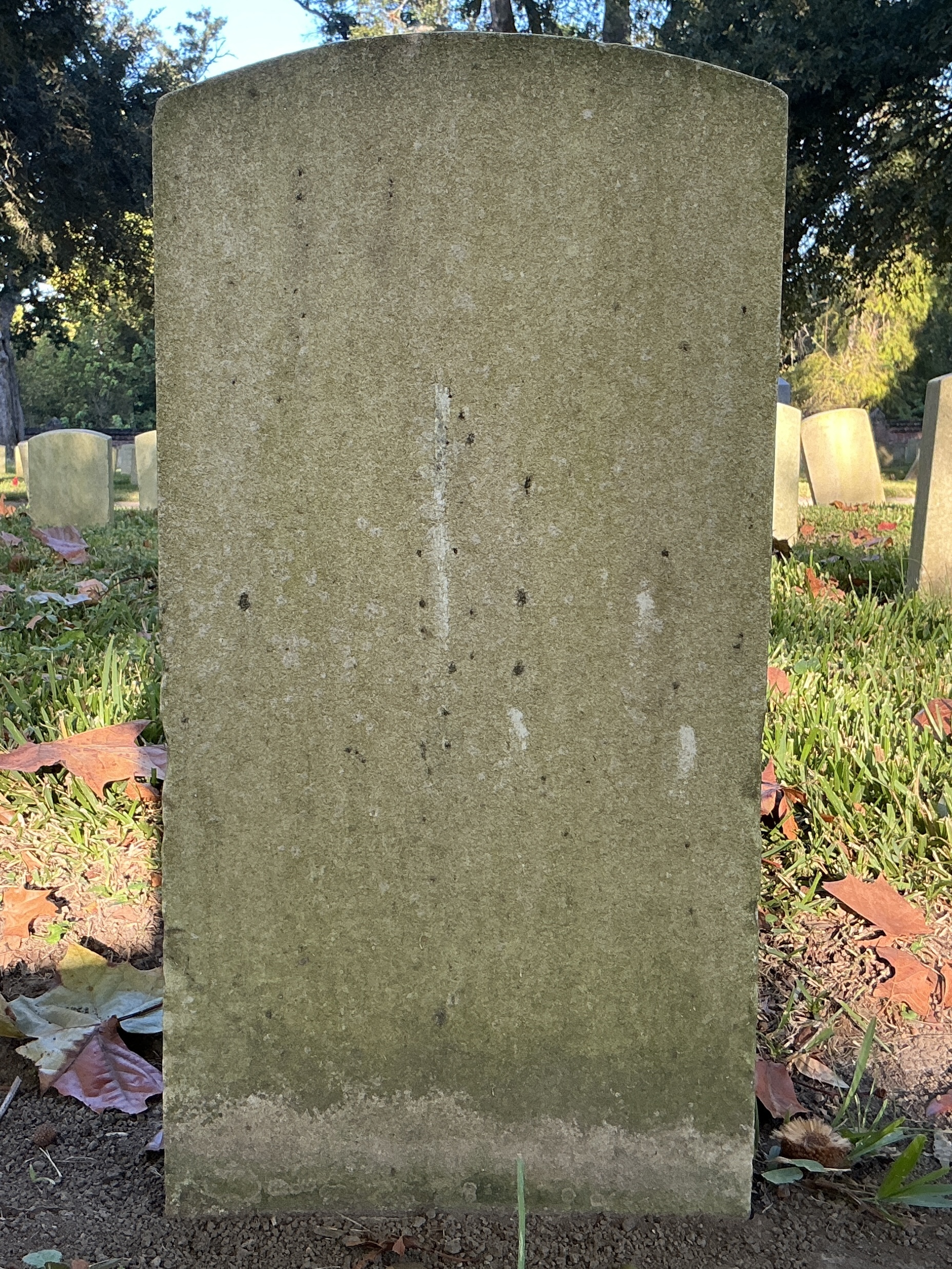 Back of historic upright marble headstone with recessed shield face.