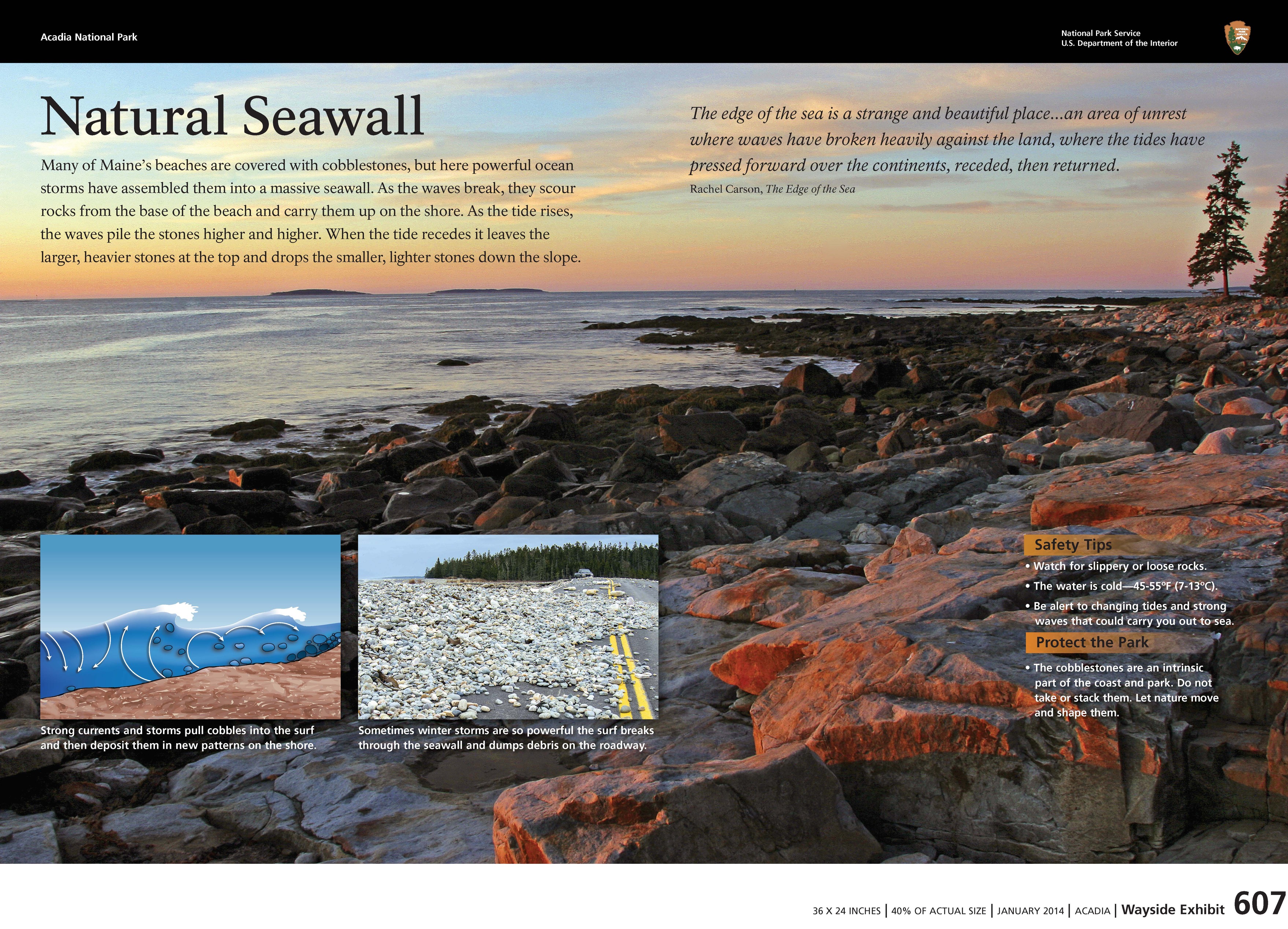 Title: Natural Seawall in bold; background image of rocky coastline.