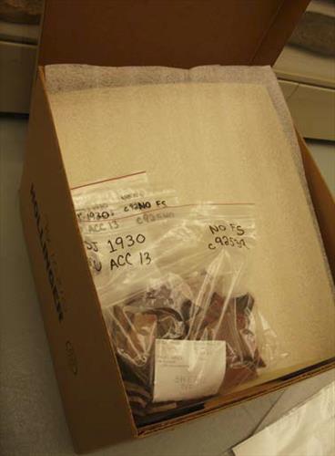 Collection Condition Survey Images - 2012