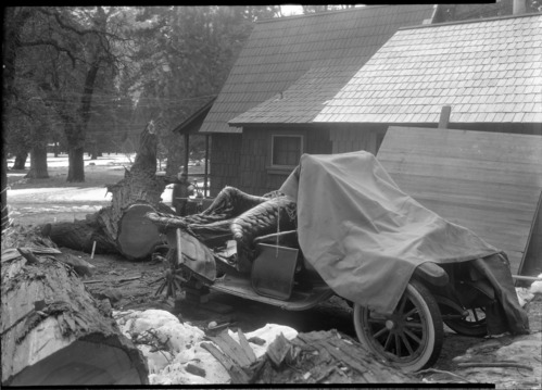 Jewitt's car
