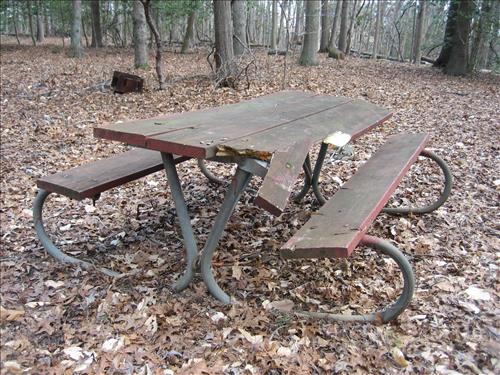 GREE -- Replace Worn and Broken Picnic Tables in the Holly Picnic Area at Greenbelt Park