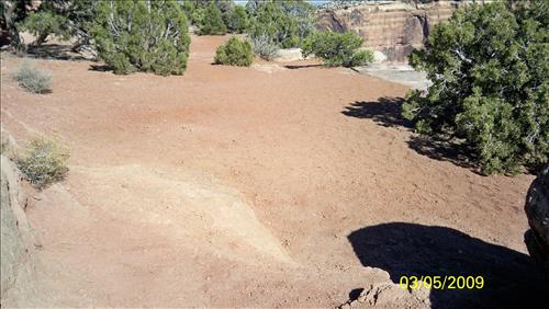 Park Trails - Perform Preventative Maintenance