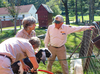 Volunteer washing a goat