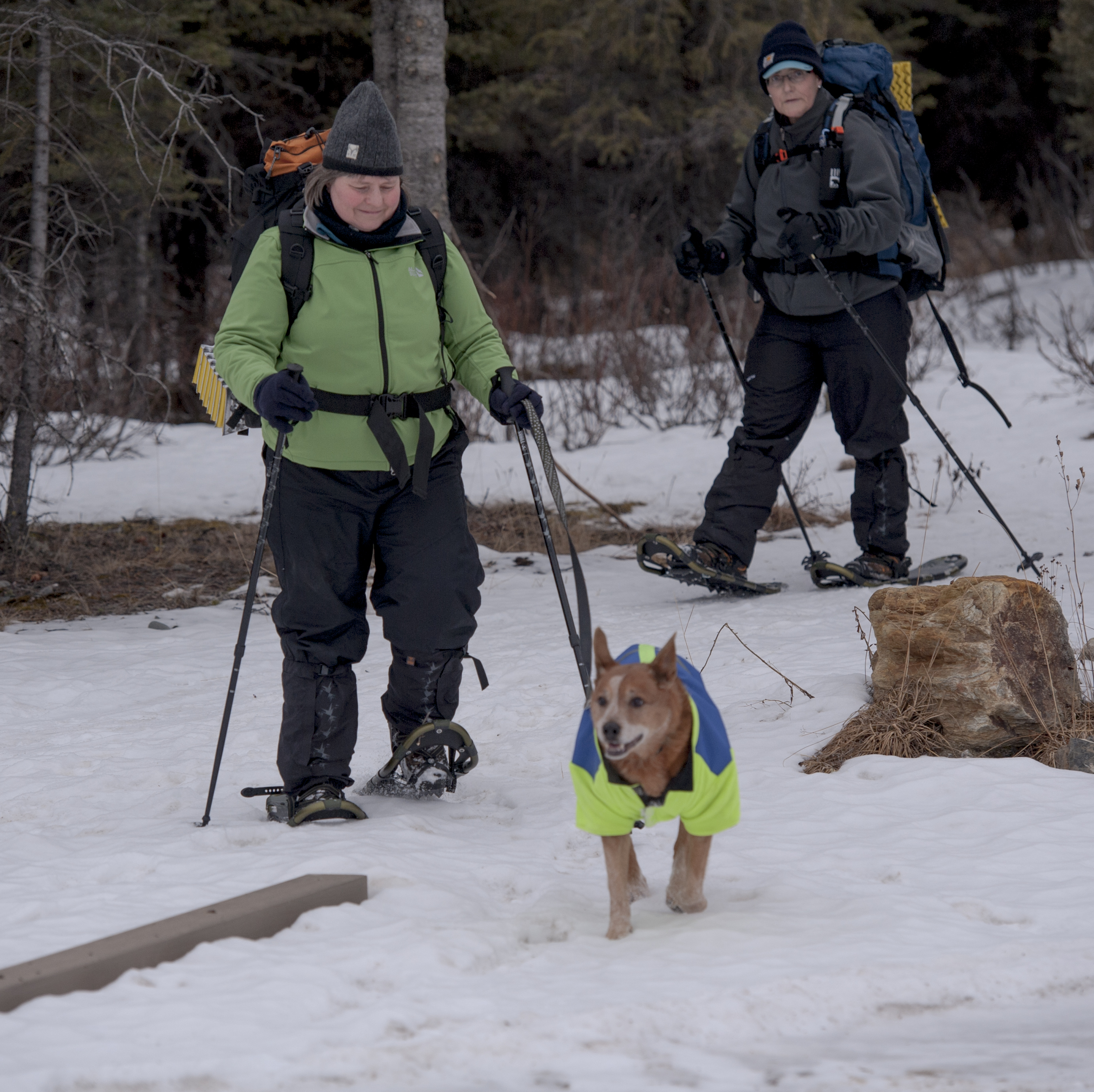 woman walking a dog on a leash while she wears snowshoes