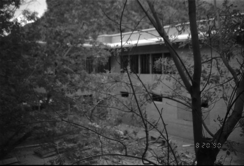Building through some foliage during the construction of headquarters addition.