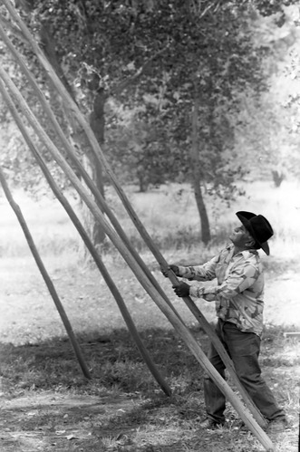 Clifford Jake placing the poles for his demonstration on building a tipi at the second annual Folklife Festival, Zion National Park Nature Center, September 1978.