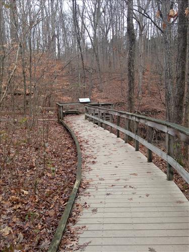 Mammoth Cave Sand Cave Trail