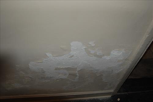 Water infiltration and damage to walls and floor of the Petersen House