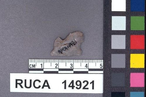 RUCA   14921 -- Point, Projectile