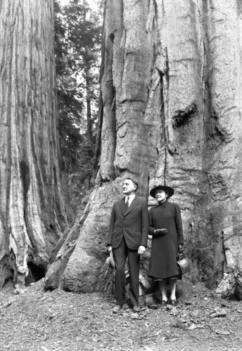 Major General A. J. Bowley (Commanding Gen. of 9th Corps Area) and Mrs. Bowley in the Mariposa Grove.