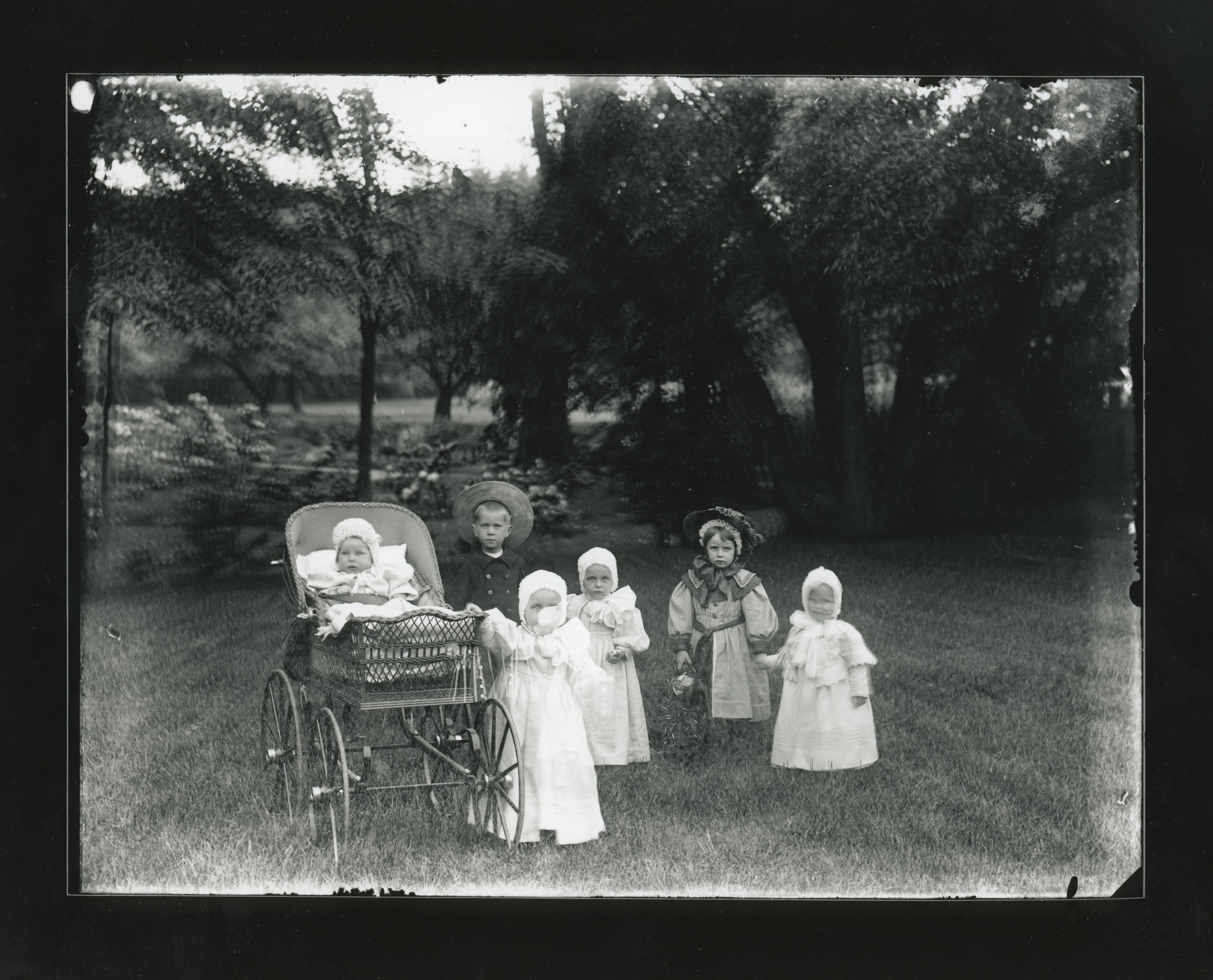 Five young white children stand facing the camera on grass in front of trees. A baby sits in a carriage to the children's' right.