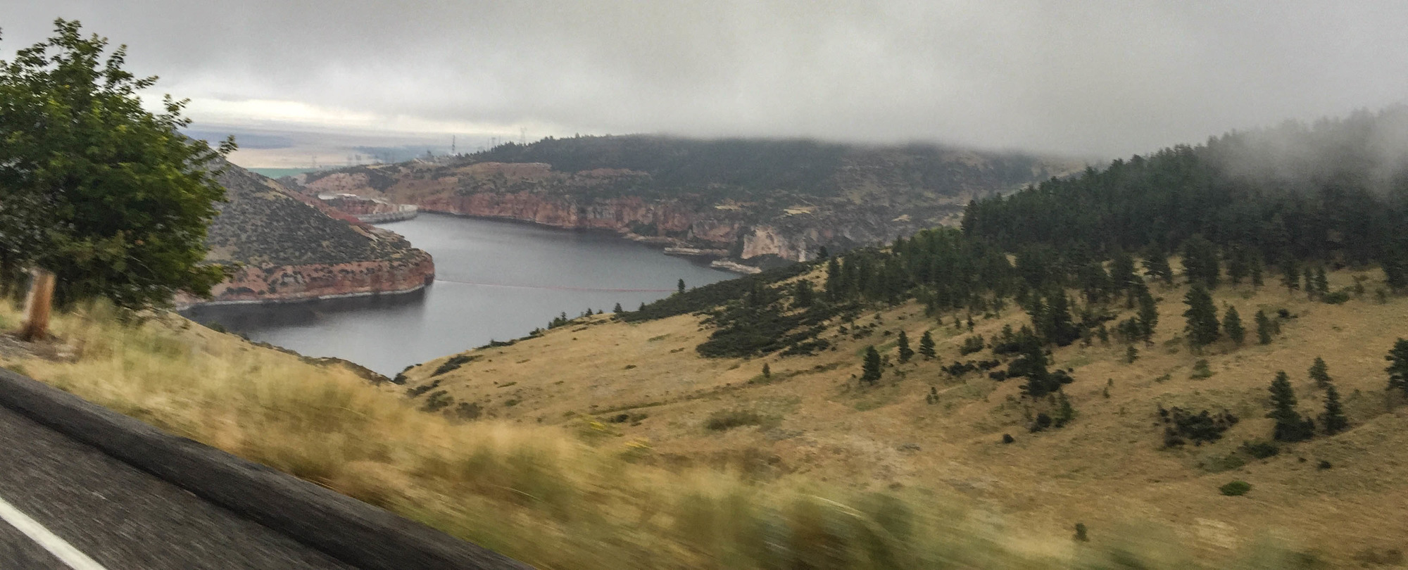 River running through a grassland